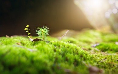 EPD – produkta vides deklarācija